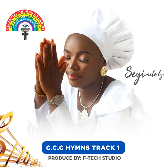 Seyimelody Music Organization