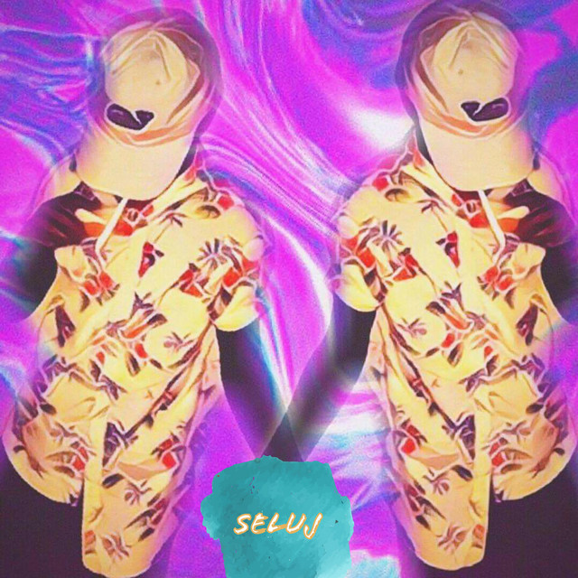 Seluj cover art