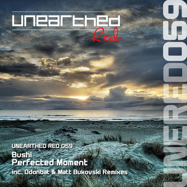 Perfected Moment cover art
