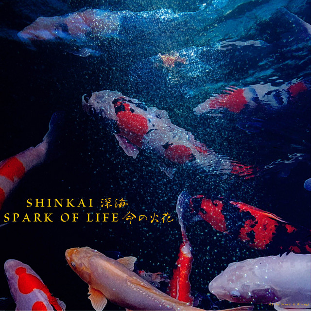 Shinkai // Spark of Life artwork