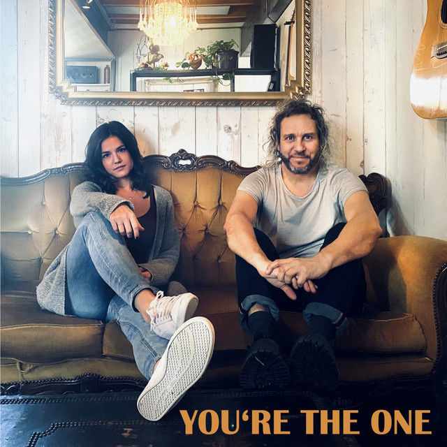You're The One cover