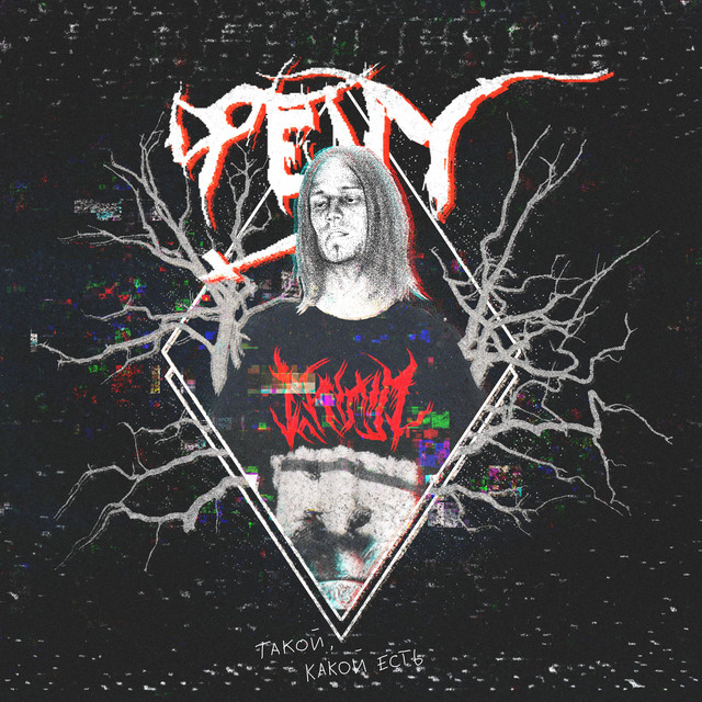 Такой, какой есть cover art