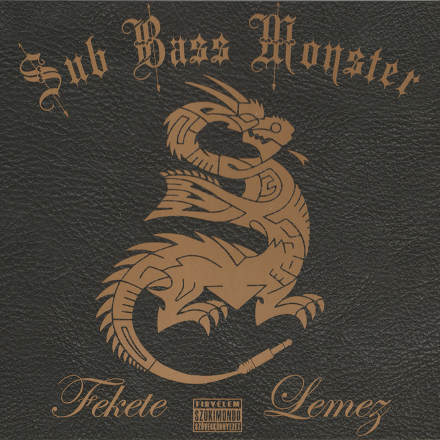 Fekete Lemez cover art