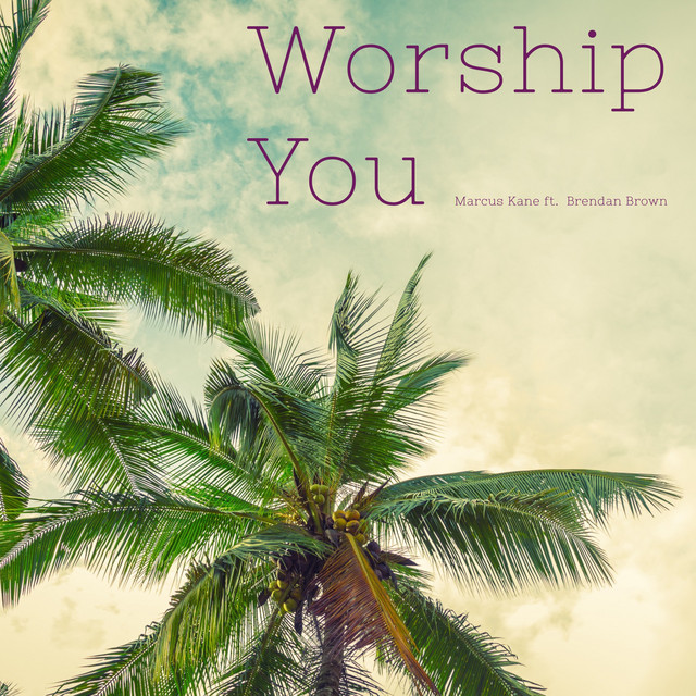 Cover du titre Worship You