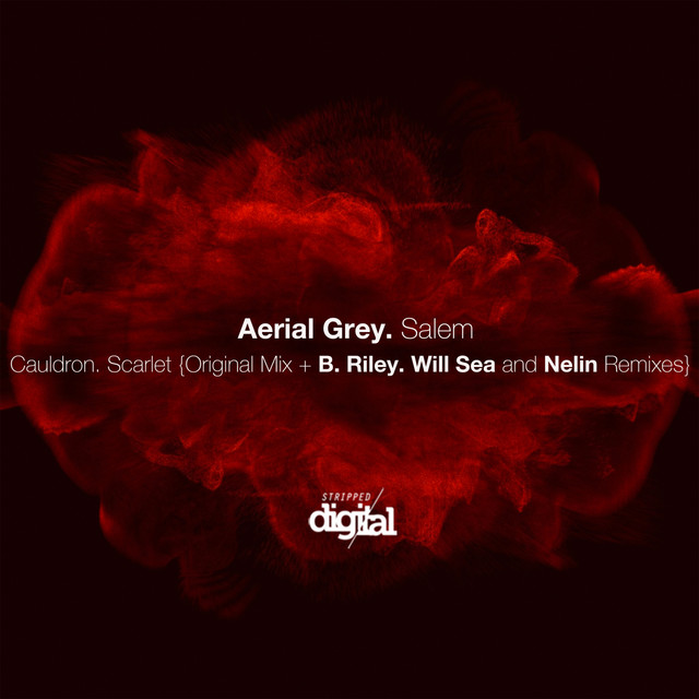 Обкладинка: Scarlet - Nelin Remix — Aerial Grey