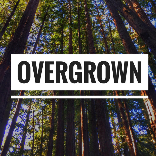 Movin' cover