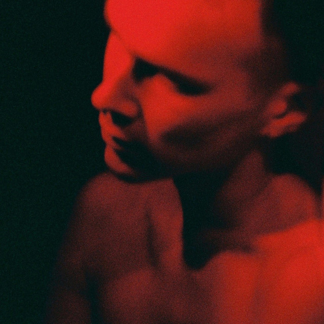 Belong cover art