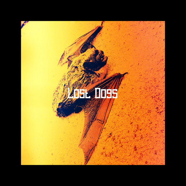 Lost Dogs cover