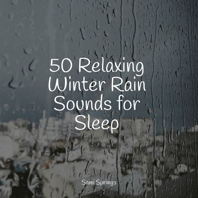 50 Relaxing Winter Rain Sounds for Sleep - Album by The Relaxing Sounds ...
