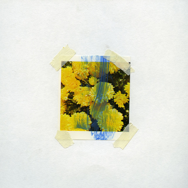 Feather Leaves / Vomiting up Flowers cover