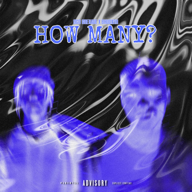 HOW MANY? cover art