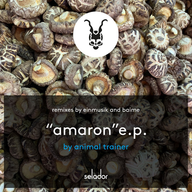 Amaron - Einmusik Remix album art