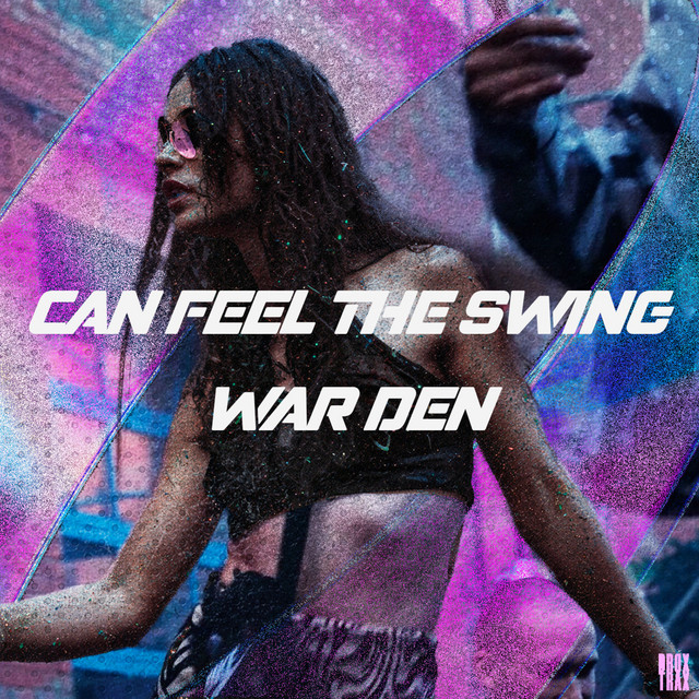 Can Feel The Swing album art