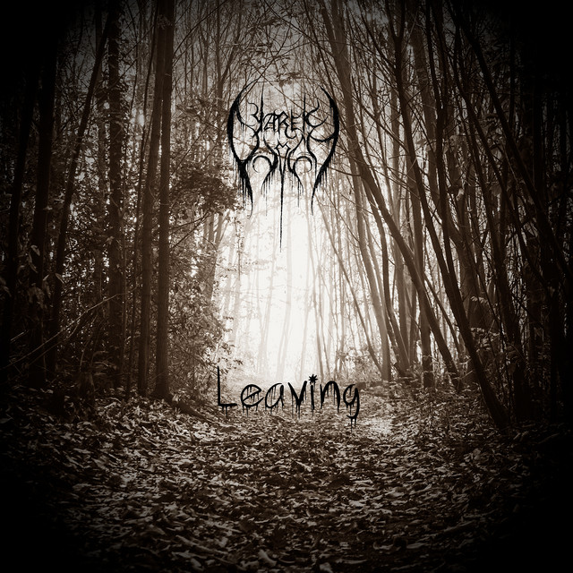 Обкладинка Yarek Ovich — Leaving