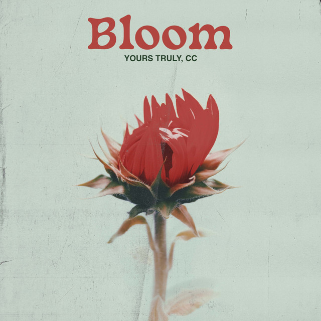 Bloom