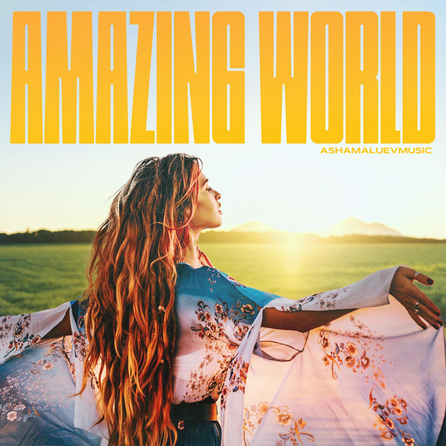Cover art for AShamaluevMusic — Amazing World