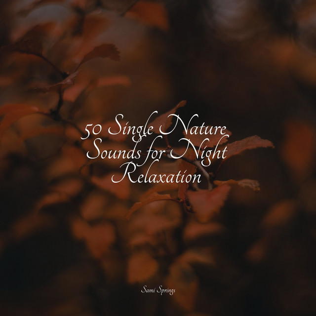 50 Single Nature Sounds for Night Relaxation - Album by Bath Spa ...
