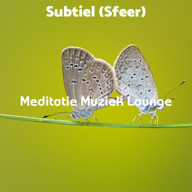 Subtiel (Sfeer) cover art