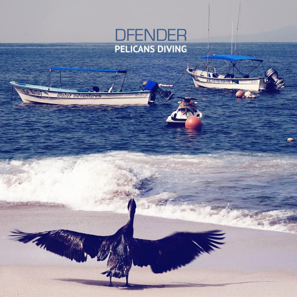 Pelicans Diving cover