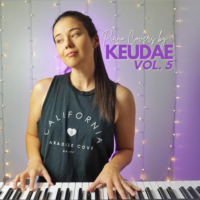 Piano Covers, Vol. 5 cover art