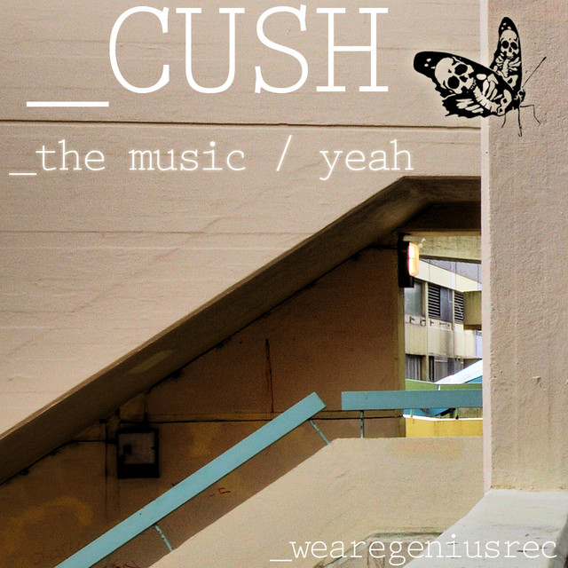 The Music cover