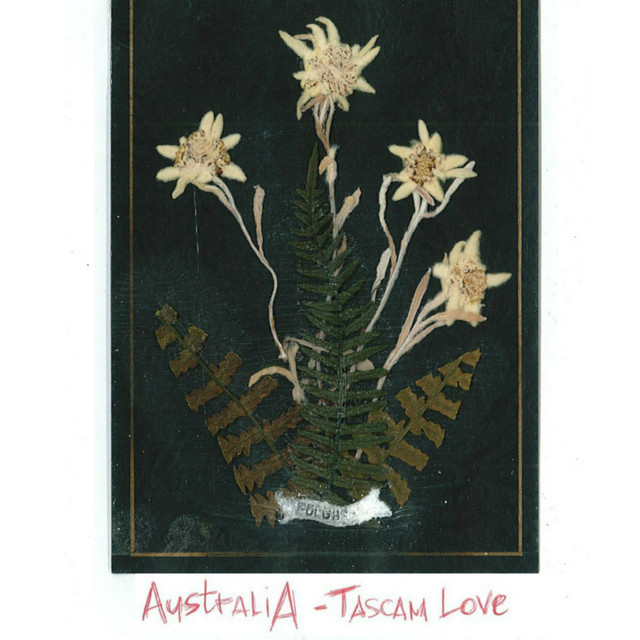 Tascam Love cover art