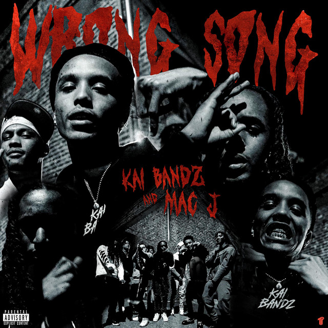 Wrong Song cover art