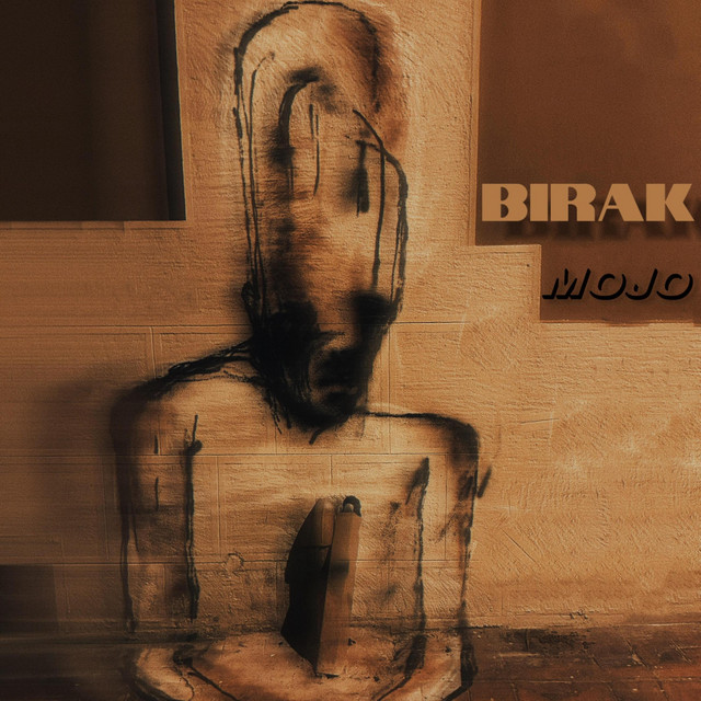 Bırak cover art