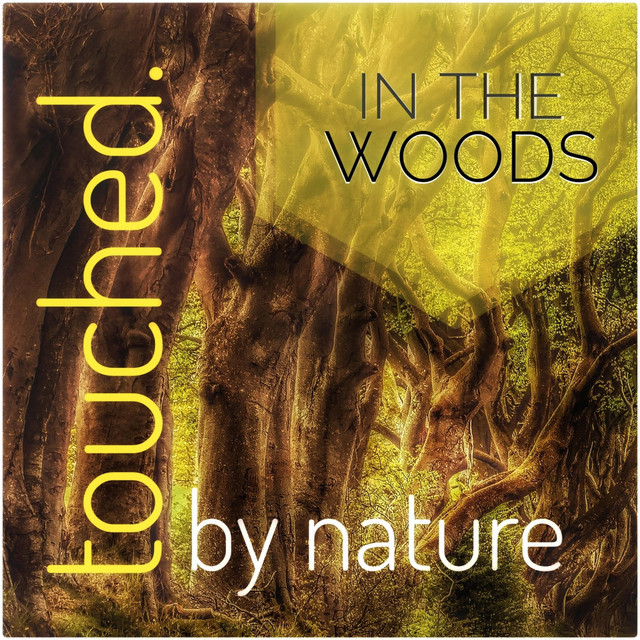 In the Woods cover