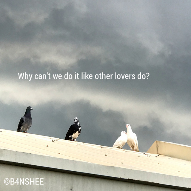 Why can't we do it like other lovers do? cover art