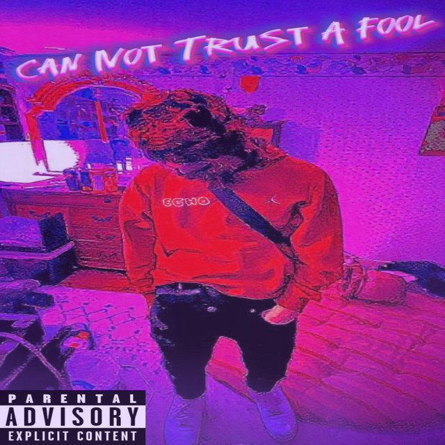 Can Not Trust A Fool - Single by ĒchØ | Spotify
