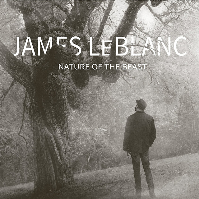 Nature of the Beast cover art