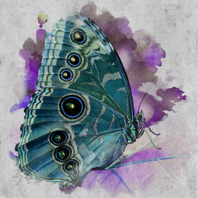 Обкладинка: Metamorphosis — RezQ Sound