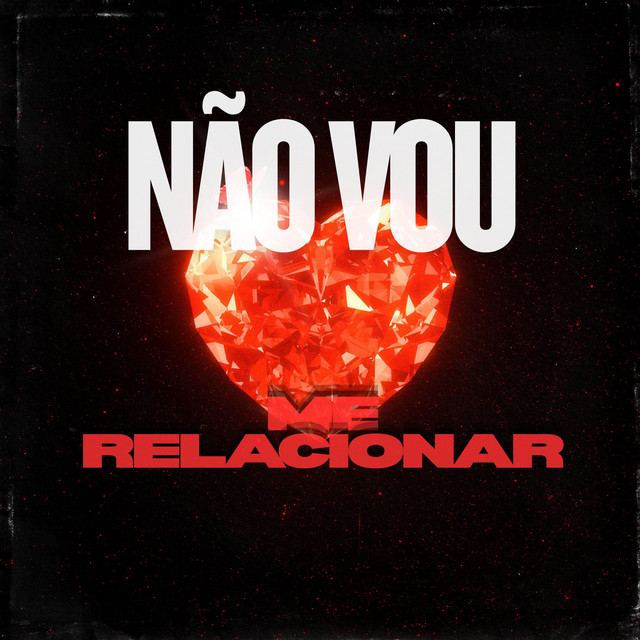 Não Vou Me Relacionar