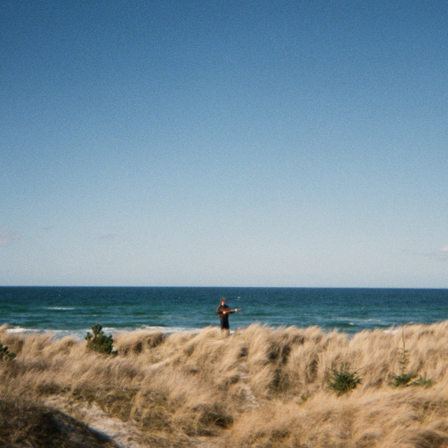 The Shores album image