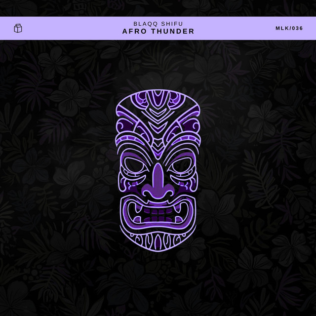 AFRO THNDER cover art