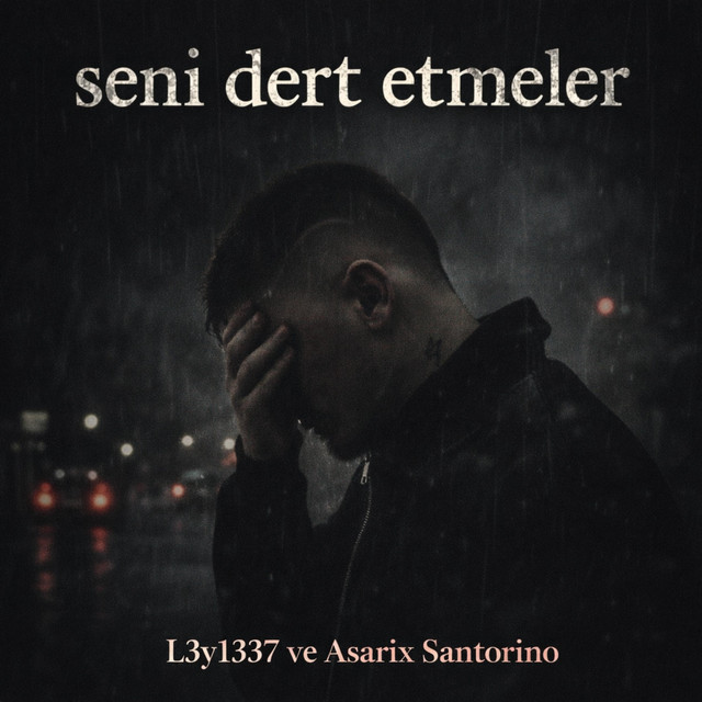seni dert etmeler album image