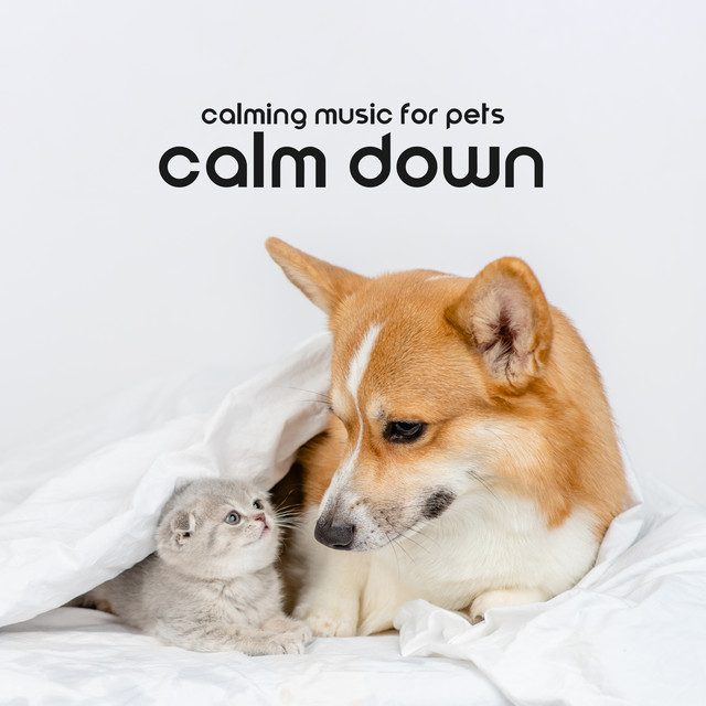 Calming Music for Pets: Calm Down Your Little Friends (Gentle Songs to Relax at Home) cover art