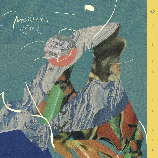 Medium Level cover art