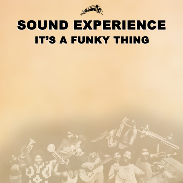 It's a Funky Thing cover