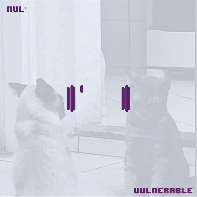 Vulnerable cover art