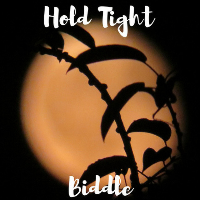 Hold Tight cover art