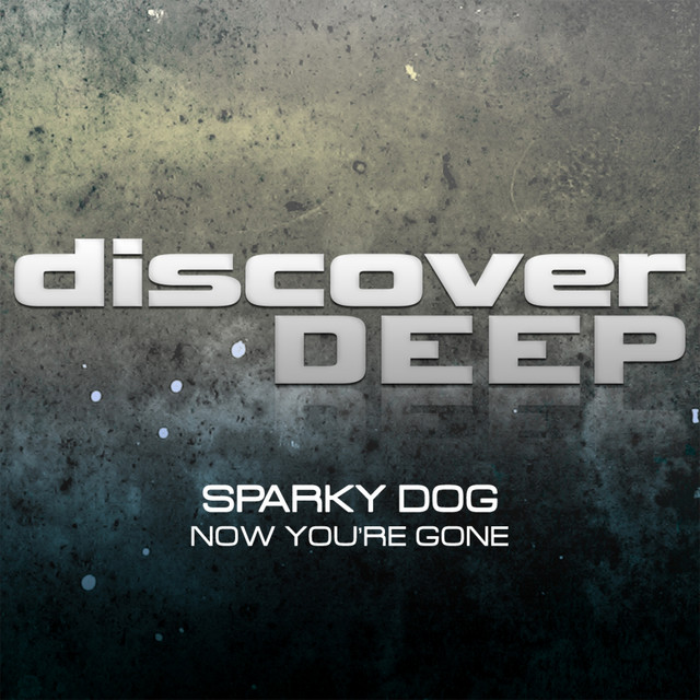 Now You're Gone (Original Mix)