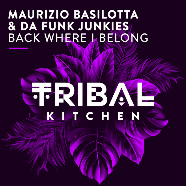 Back Where I Belong album art