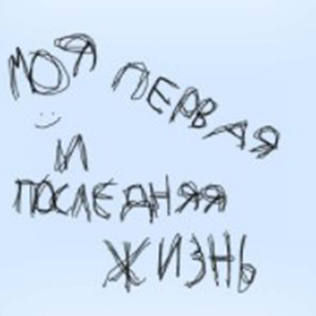 Обкладинка эрик мать его пыркин — Моя первая и последняя жизнь