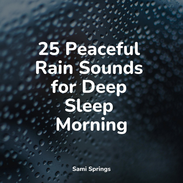 25 Peaceful Rain Sounds for Deep Sleep Morning - Album by Música ...
