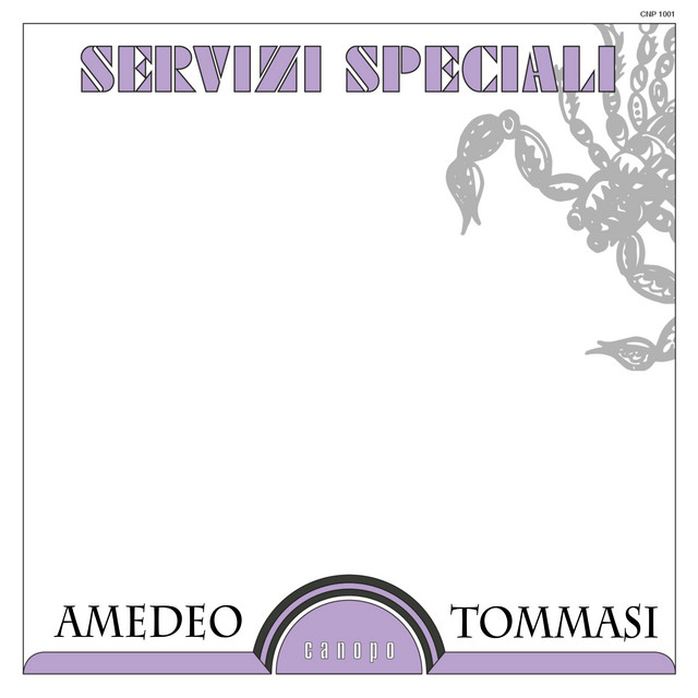 Servizi speciali cover art