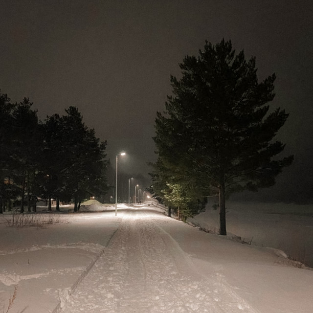 falling snow