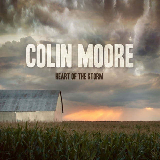 Heart of the Storm cover art
