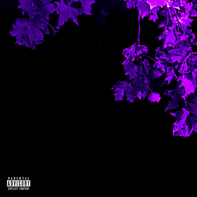 SHIMY. (Disk 2) cover art